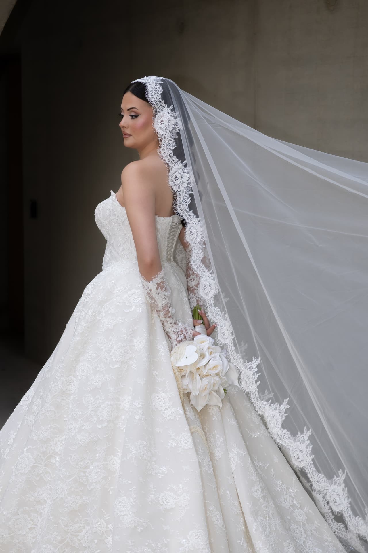A bridal portrait with a flowing lace-edged veil